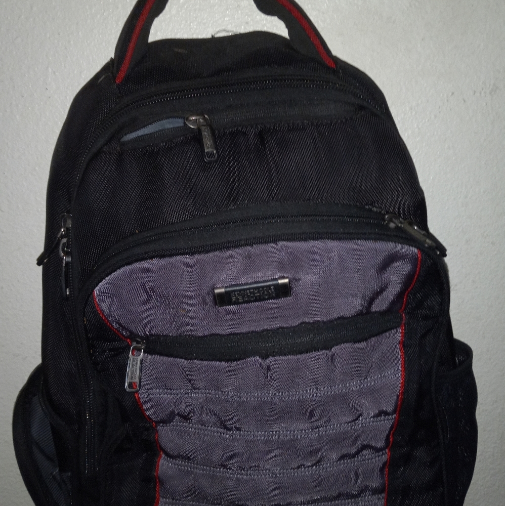 Kenneth cole reaction back pack